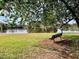 Park setting with a bench overlooking a serene lake at 426 Club Dr, Winter Springs, FL 32708