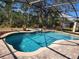 Screened-in pool with brick patio, lush plants, and a view of the wooded backyard at 602 Lochsmere Ln, Orlando, FL 32828