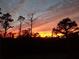 Beautiful sunset over the wooded yard, with bright orange and yellow and dark silhouetted trees at 602 Lochsmere Ln, Orlando, FL 32828