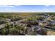 Scenic aerial shot of a vibrant neighborhood surrounded by trees, highlighting a tranquil residential area at 12991 Sw 72Nd Terrace Rd, Ocala, FL 34473