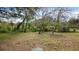 This large backyard is full of mature trees and has plenty of space for recreation at 19 N Van Buren Ave, Orlando, FL 32811