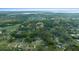 Overhead shot of a community surrounded by lush greenery and a glimpse of a distant lake at 212 Glenn St, Leesburg, FL 34748