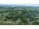 Bird's eye view of a residential neighborhood with mature trees and a glimpse of a distant lake at 212 Glenn St, Leesburg, FL 34748