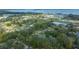 Panoramic overhead view of a neighborhood with mature trees and distant waterfront views at 212 Glenn St, Leesburg, FL 34748