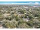 Expansive aerial view of a lush, green neighborhood with scattered homes and mature trees at 213 James Dr, Winter Garden, FL 34787