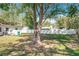 View of the large backyard, featuring a small firepit and a large shady tree at 213 James Dr, Winter Garden, FL 34787