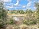 View of a tranquil pond surrounded by trees at 2132 Limestone Trl, Kissimmee, FL 34747