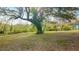 This large backyard features a tree offering ample shade and green grass at 25 N Van Buren Ave, Orlando, FL 32811