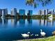 Picturesque view of a tranquil lake with swans and cygnets swimming near the shore with city buildings in the background at 322 E Central Blvd # 1612, Orlando, FL 32801