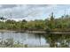 Scenic view of a pond surrounded by lush greenery and trees at 13900 Corrine Key Pl, Orlando, FL 32824