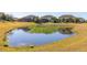 Beautiful backyard pond filled with lily pads in a manicured, residential setting at 15165 Heron Hideaway Cir, Winter Garden, FL 34787