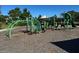 Community playground with modern green climbing structures and a soft landing surface at 2369 Palm Park Loop, Clermont, FL 34714