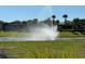 Scenic water feature on the pond with fountain surrounded by lush green landscaping and palms at 2369 Palm Park Loop, Clermont, FL 34714