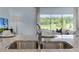 A stainless steel kitchen sink with modern faucet is set against a backdrop of lush greenery at 3350 Private Oak Dr, Apopka, FL 32703