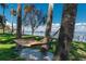 Relaxing hammock strung between palm trees with picturesque water views, perfect for enjoying outdoor serenity at 9575 Ne 306Th Ct, Fort Mc Coy, FL 32134