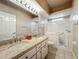 Well-lit bathroom with a double sink vanity, granite countertops and a walk-in bathtub at 21636 King Henry Ave, Leesburg, FL 34748