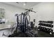 Well-equipped gym featuring various exercise machines and weight racks for a complete fitness experience at 3257 Villa Strada Way, Orlando, FL 32835