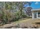 View of the backyard with mature trees and partial fencing, offering a private outdoor space at 4702 Kati Lynn Dr, Apopka, FL 32712