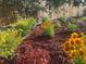 Detailed shot of the landscaped backyard with colorful flowers and mulch at 7138 Hiawassee Bent Cir, Orlando, FL 32818