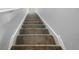 Carpeted staircase with white banister, leading to the upper level at 2033 Milkweed St, Ocoee, FL 34761