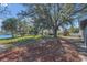 Spacious backyard featuring a view of the lake, large trees, and lawn at 1320 Corte Nueva, Winter Springs, FL 32708