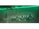 Impressive military-themed wall mural with a detailed sketch aesthetic and vibrant green LED accent lights at 1656 Moon Valley Dr, Davenport, FL 33896