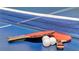 Ping pong table close up featuring a net, paddles and ping pong balls at 4164 Paragraph Dr, Kissimmee, FL 34746