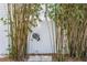 Lush backyard featuring a white fence and mature bamboo plants at 435 Jessamine Ave, New Smyrna Beach, FL 32169