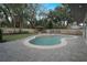 Private pool area featuring lush landscaping, a spa, and ample patio space at 450 Lakewood Dr, Winter Park, FL 32789