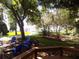 Lush lawn with plenty of shade and a lake view, perfect for relaxing or entertaining at 2929 Lakeshore Dr, Mount Dora, FL 32757