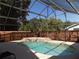 Enclosed pool area surrounded by mature trees and a brown wood fence at 2929 Lakeshore Dr, Mount Dora, FL 32757