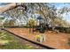 Community playground with slides and climbing structures for hours of fun at 34429 Alameda Dr, Sorrento, FL 32776