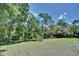 Spacious, grassy backyard surrounded by mature trees under a bright blue sky at 3860 Branton Dr, Oviedo, FL 32765