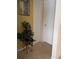 Hallway displaying a plant stand beside a closet and a yellow painted wall at 680 Caribou Ct, Apopka, FL 32703