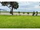 Well-maintained lawn with a fence line and young trees planted along the perimeter at 780 Pointe Emerson Blvd, Apopka, FL 32703