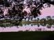 Tranquil lake view at dusk, showcasing a vibrant pink sky and serene water reflections at 2913 Carmia Dr, Orlando, FL 32806