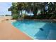 Backyard pool with lush landscaping, pool cleaner, and stone rock feature around the pool at 7119 Leighton Way, Orlando, FL 32822