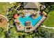 Overhead view of a community pool with lounge chairs and greenery at 1598 Barberry Dr, Kissimmee, FL 34744