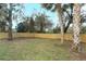 A backyard is surrounded by a new wood fence with mature trees and well-maintained grass at 297 N Lake Jessup Ave, Oviedo, FL 32765