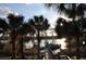 Scenic view of community dock with palm trees and glistening water at 3307 Greenwich Village Blvd # 205, Orlando, FL 32835