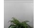 Textured white paneled wall with decorative top edge and a fern plant in foreground at 516 8Th St, Orlando, FL 32820