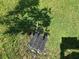 Close-up of a black drainage grate installed in green grass near a new sapling tree at 5179 Royal Point Ave, Kissimmee, FL 34746