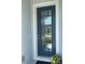 Stylish blue front door featuring glass inserts and a white frame, creating an inviting entrance at 5179 Royal Point Ave, Kissimmee, FL 34746