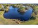 Aerial view of a serene lake surrounded by lush greenery and homes at 642 Osprey Lakes Cir, Chuluota, FL 32766