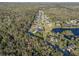 Aerial view featuring the neighborhood nestled among lush green landscapes at 642 Osprey Lakes Cir, Chuluota, FL 32766