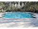 Large community pool with clear water, surrounded by lounge chairs and palm trees, creating a relaxing atmosphere at 770 Siena Palm Dr # 201, Kissimmee, FL 34747