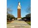 A clock tower with surrounding landscaping and hardscape at 15174 Evergreen Oak, Winter Garden, FL 34787