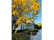 A charming clubhouse framed by a tree in full yellow bloom and manicured landscaping at 15174 Evergreen Oak, Winter Garden, FL 34787