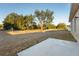 Expansive backyard featuring a large grassy area, mature trees, and a concrete patio at 325 Marion Oaks Trail, Ocala, FL 34473