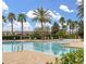 Community pool area featuring multiple pools, lounge chairs, palm trees, and a great view of the neighborhood at 7035 Oxbow Rd, Minneola, FL 34715